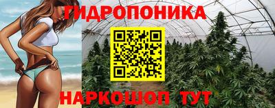 mix Кингисепп