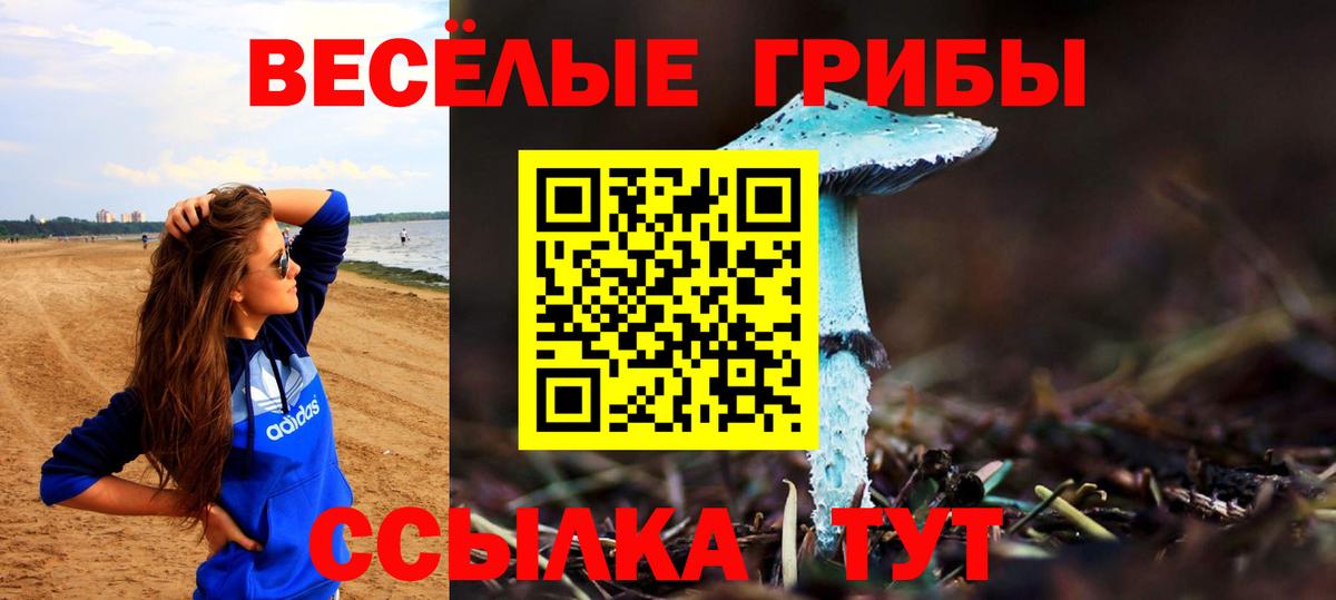Галлюциногенные грибы Cubensis Ярославль